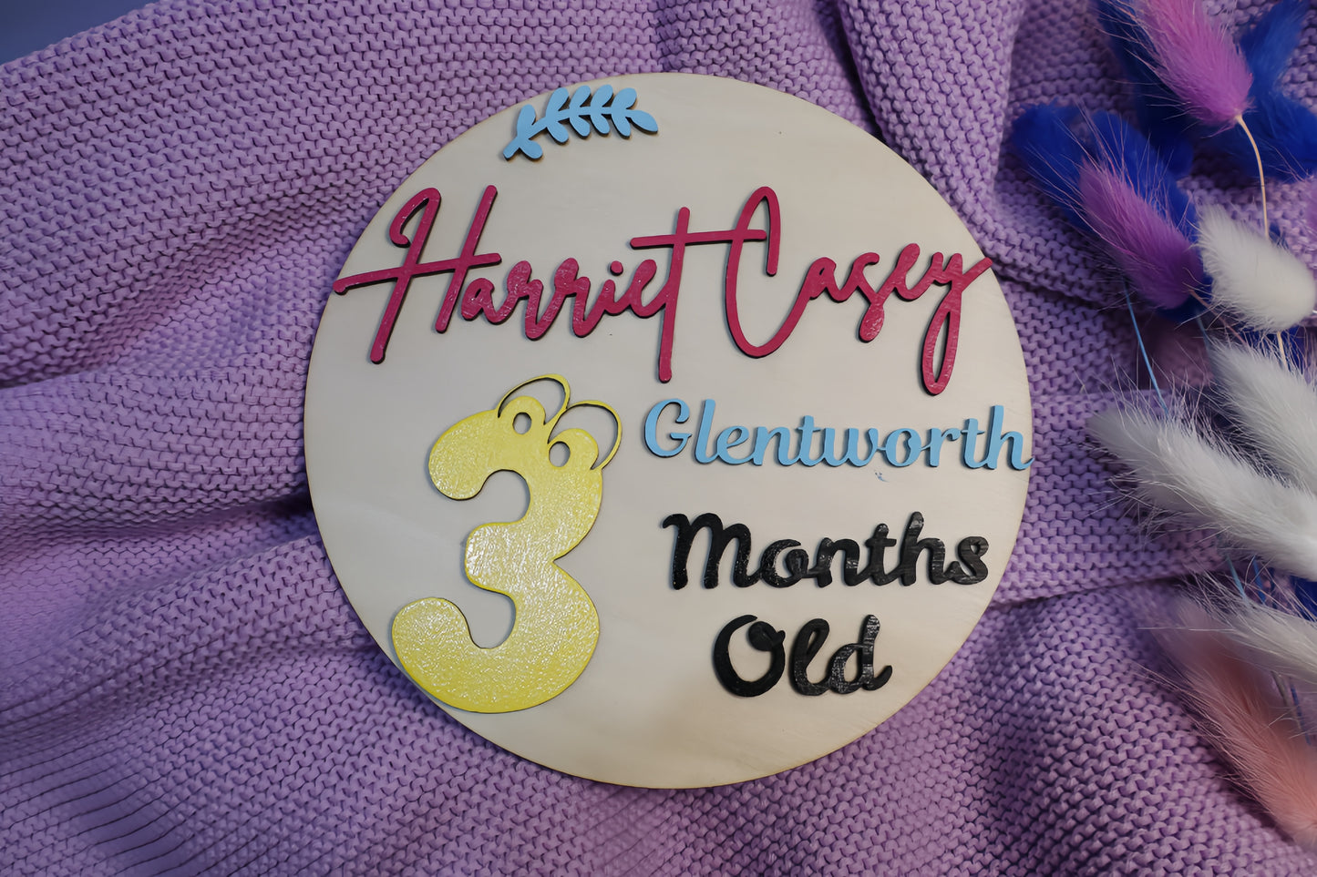 Personalised Baby Milestone Disc 3D