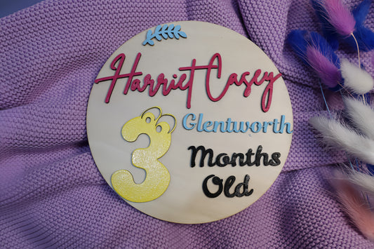 Personalised Baby Milestone Disc 3D