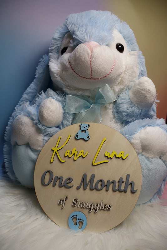 Personalised 3D Baby Milestone Keepsake Disc